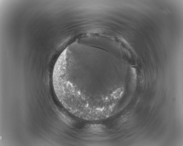 X0000065980637200603311906