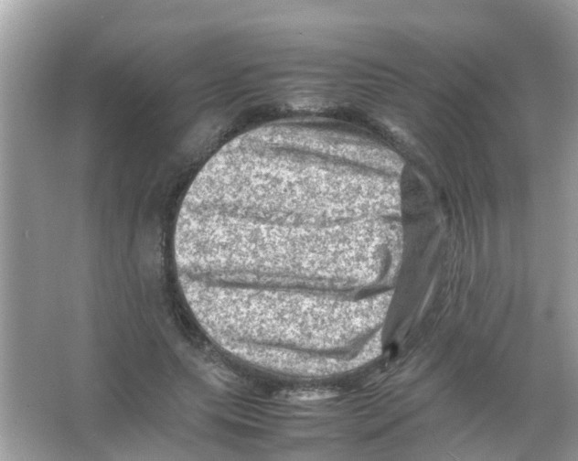 X0000065980639200603311906