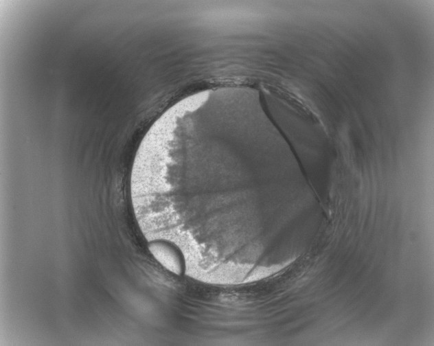 X0000065980641200603311906