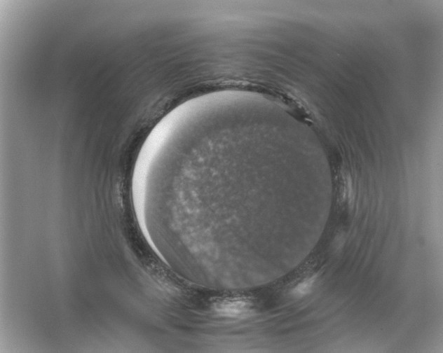 X0000065980643200603311906