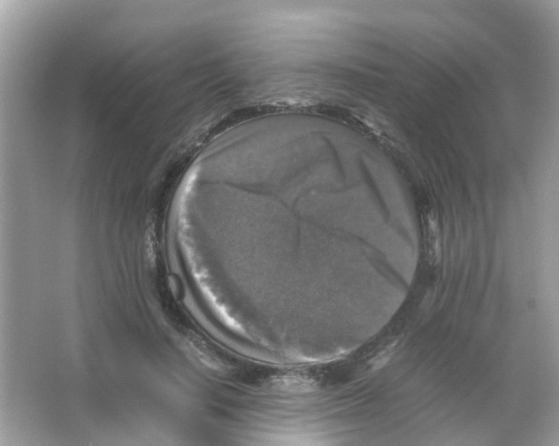 X0000065980644200603311906