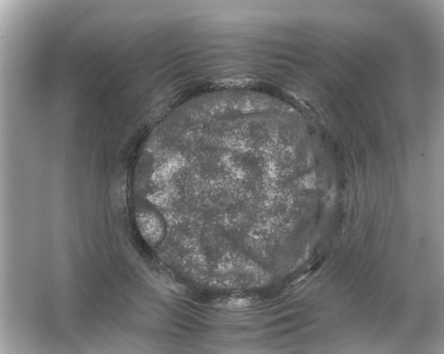 X0000065980647200603311906