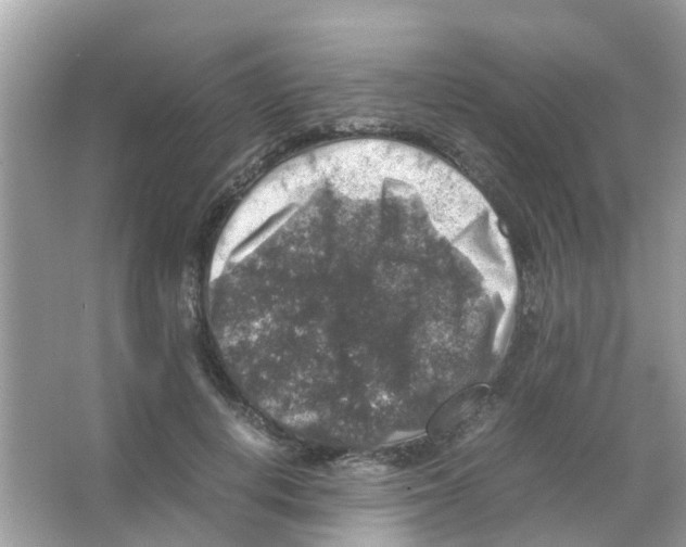 X0000065980648200603311906