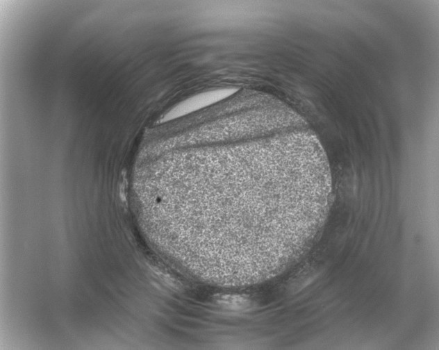 X0000065980649200603311906