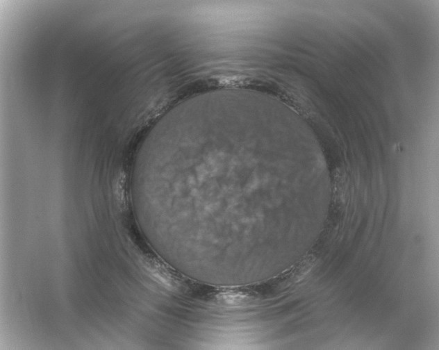 X0000065980650200603311906