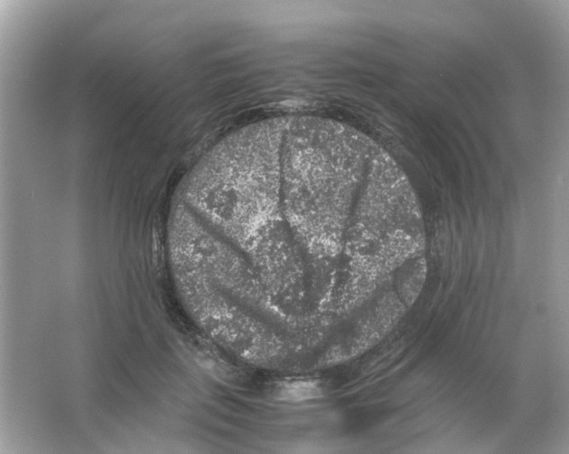 X0000065980651200603311906