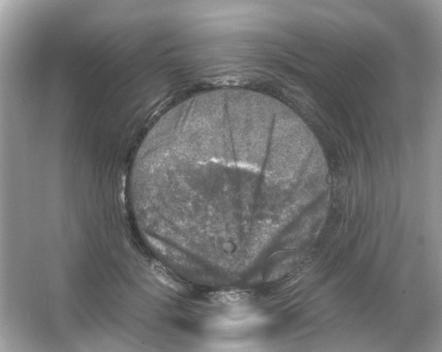 X0000065980652200603311906