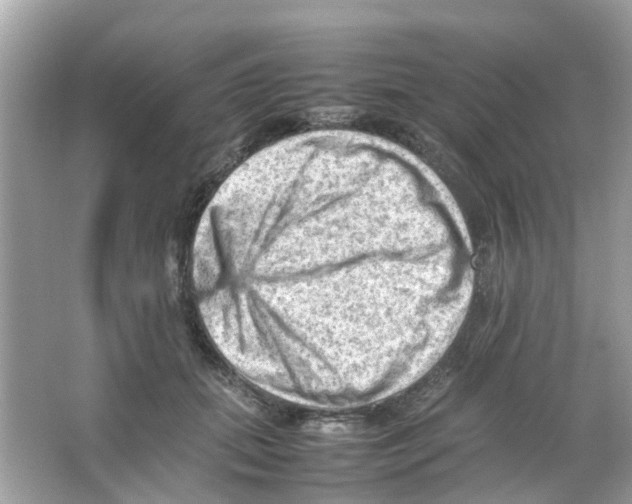 X0000065980655200603311906