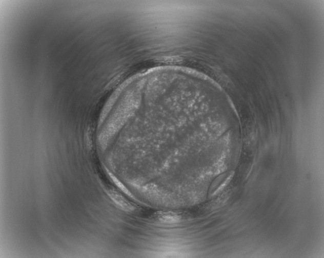 X0000065980658200603311906