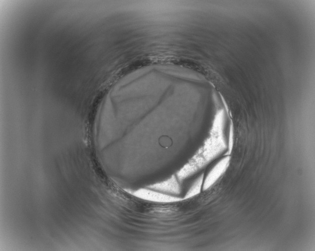 X0000065980659200603311906