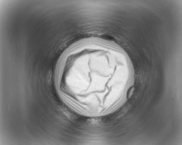 X0000065980660200603311906