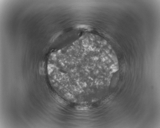 X0000065980661200603311906