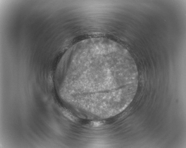 X0000065980662200603311906