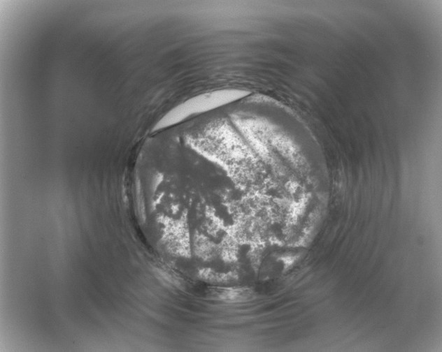 X0000065980663200603311906