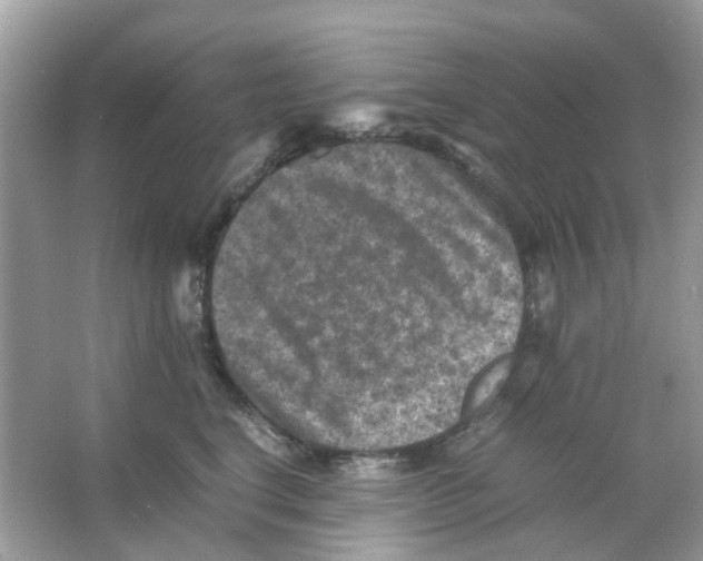 X0000065980664200603311906