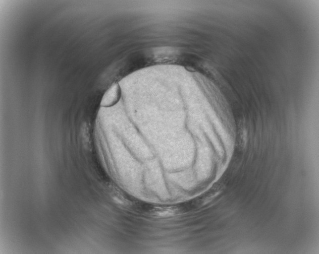 X0000065980667200603311906