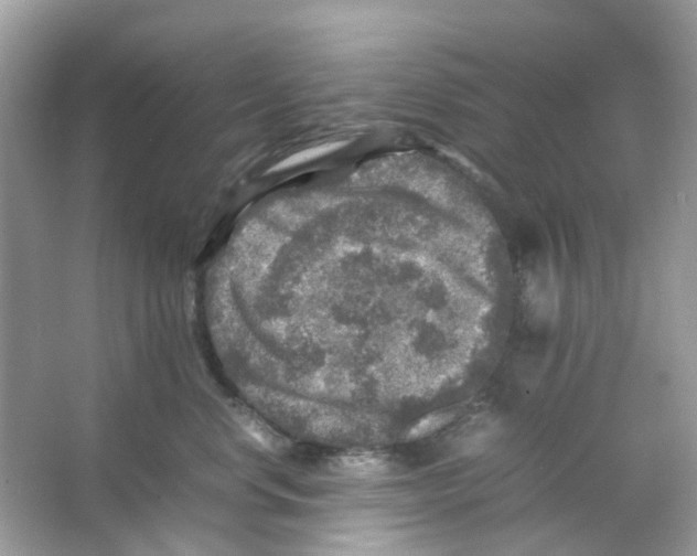 X0000065980668200603311906