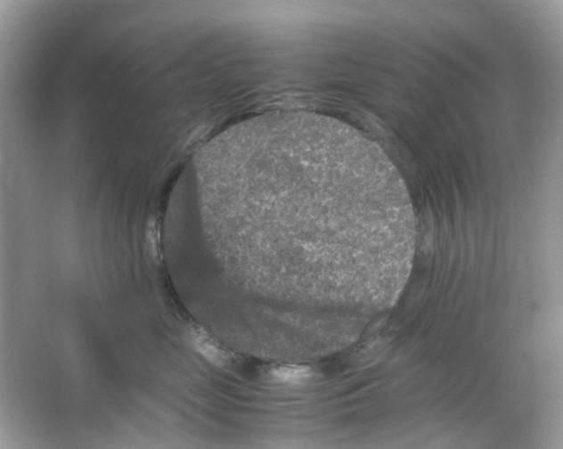 X0000065980669200603311906