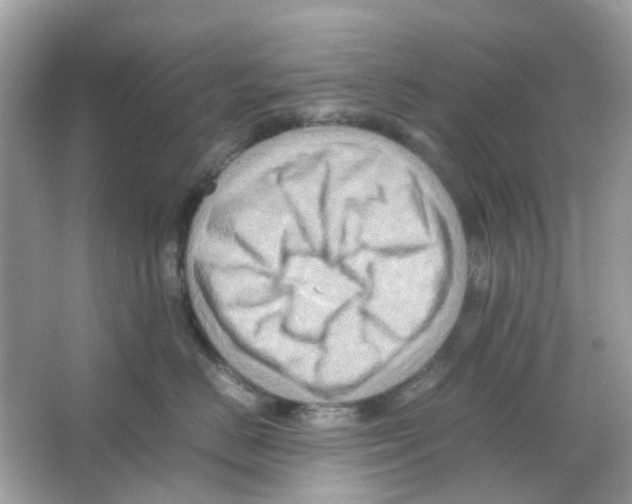 X0000065980670200603311906