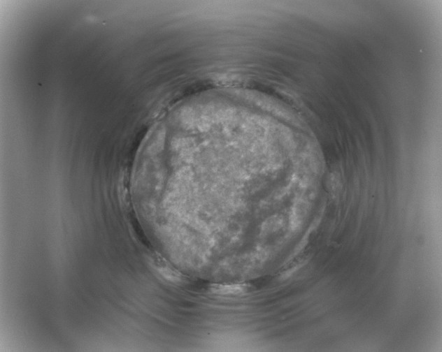 X0000065980671200603311906