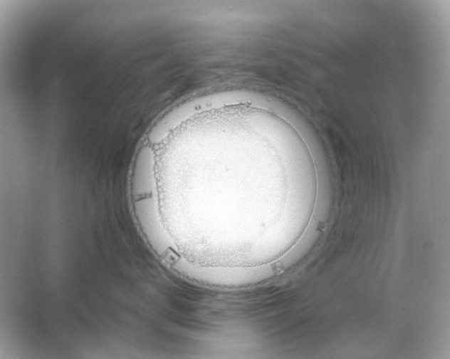 X0000065980672200603311906