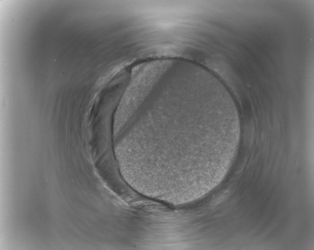 X0000065980673200603311905