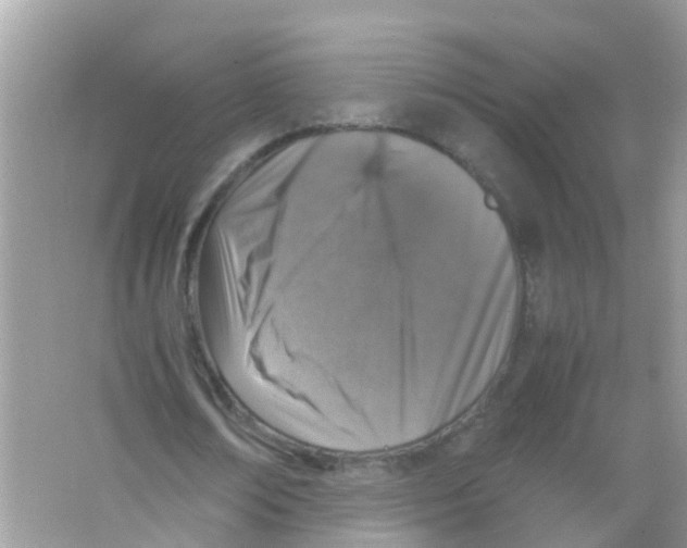 X0000065980674200603311905