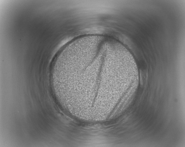 X0000065980675200603311905