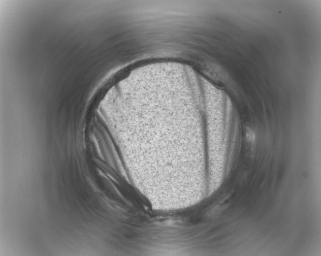 X0000065980676200603311905