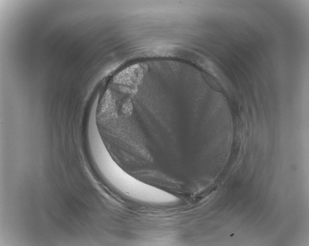 X0000065980677200603311905