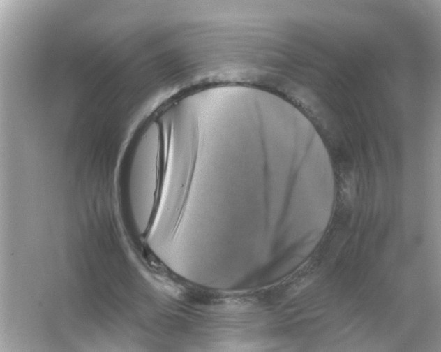 X0000065980678200603311905