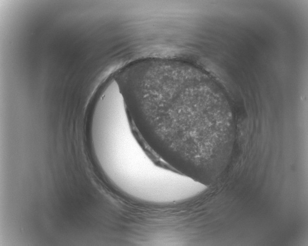 X0000065980679200603311905