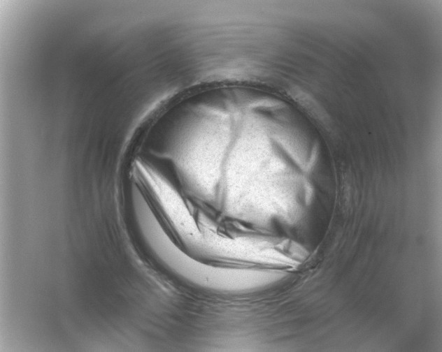 X0000065980680200603311905