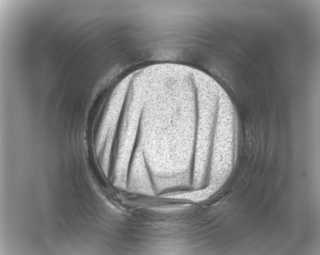 X0000065980682200603311905