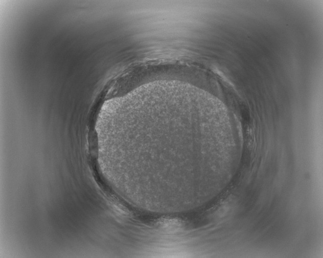 X0000065980685200603311905