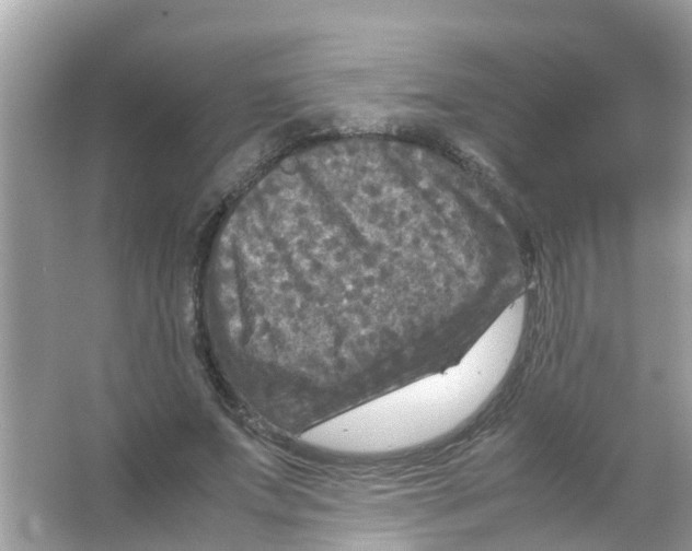 X0000065980687200603311905