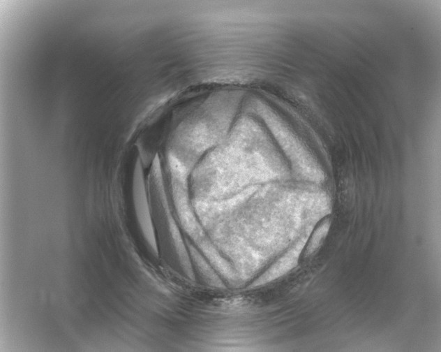 X0000065980688200603311905