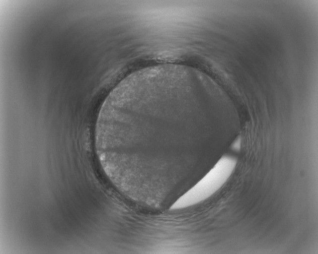 X0000065980689200603311905