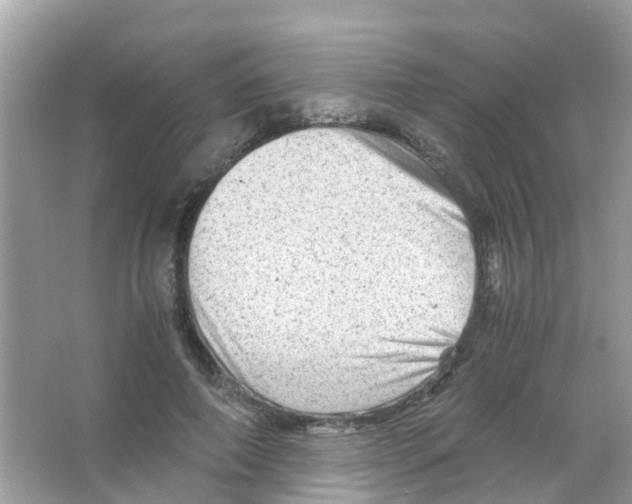 X0000065980690200603311905