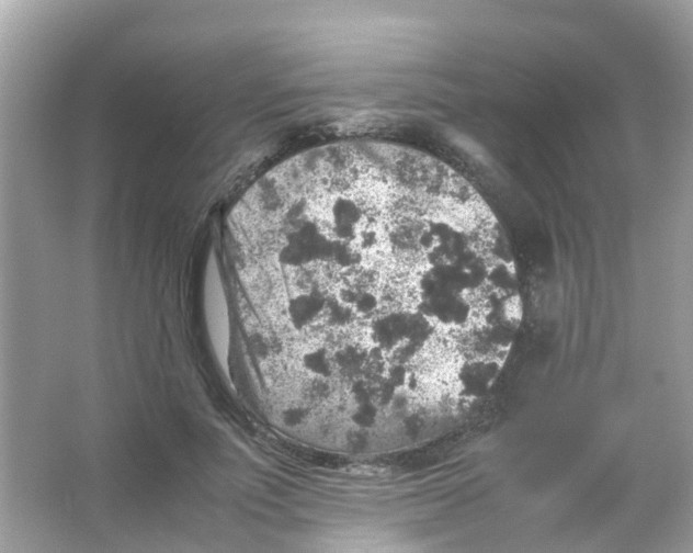 X0000065980691200603311905