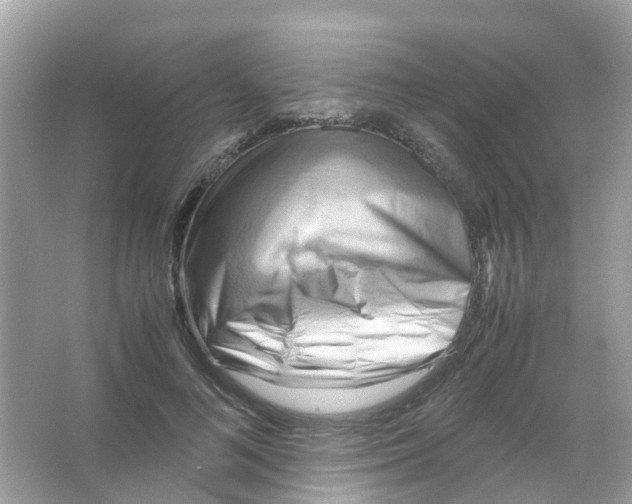 X0000065980692200603311905