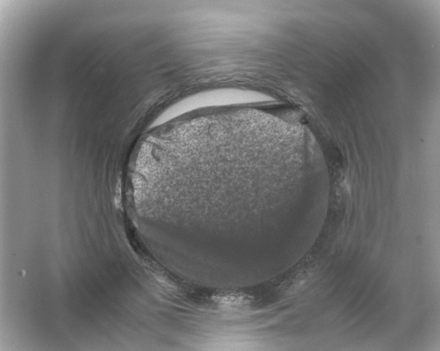 X0000065980693200603311905