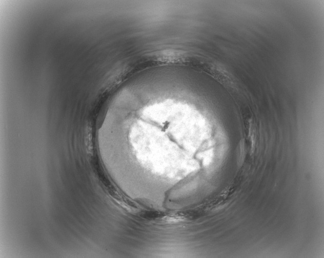 X0000065980696200603311905