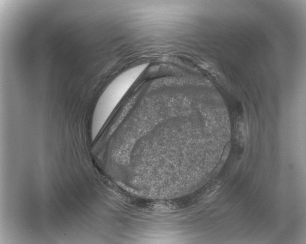 X0000065980697200603311905