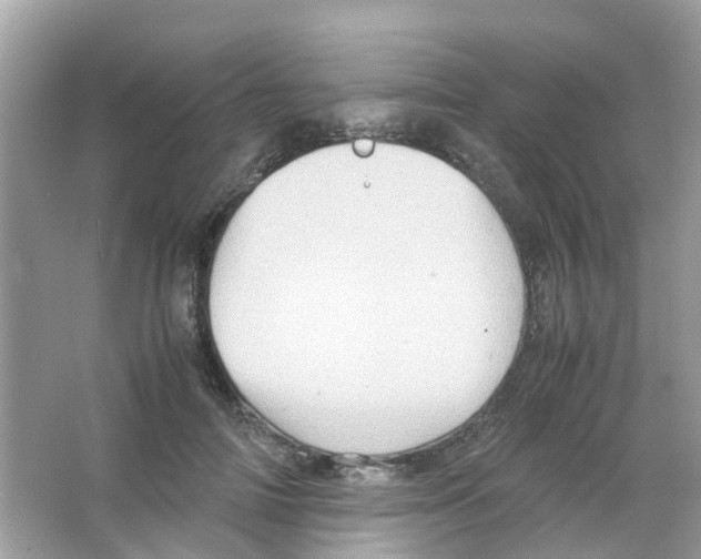 X0000065980698200603311905