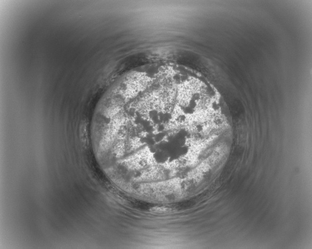 X0000065980699200603311905