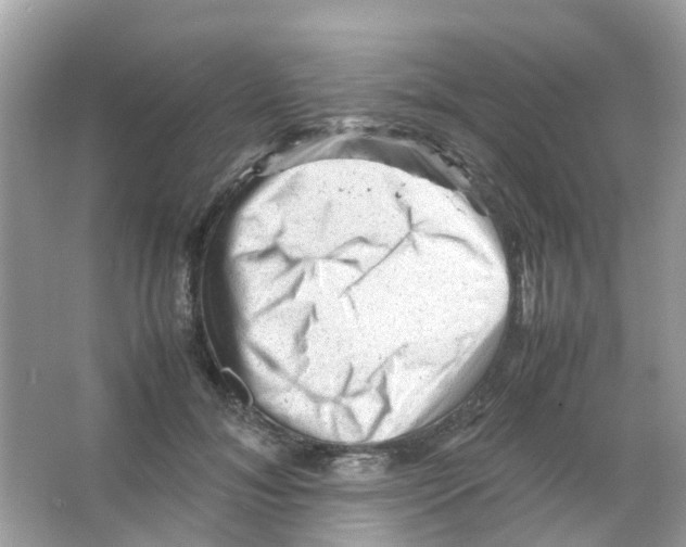 X0000065980700200603311905