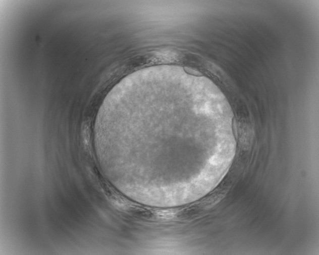 X0000065980701200603311905