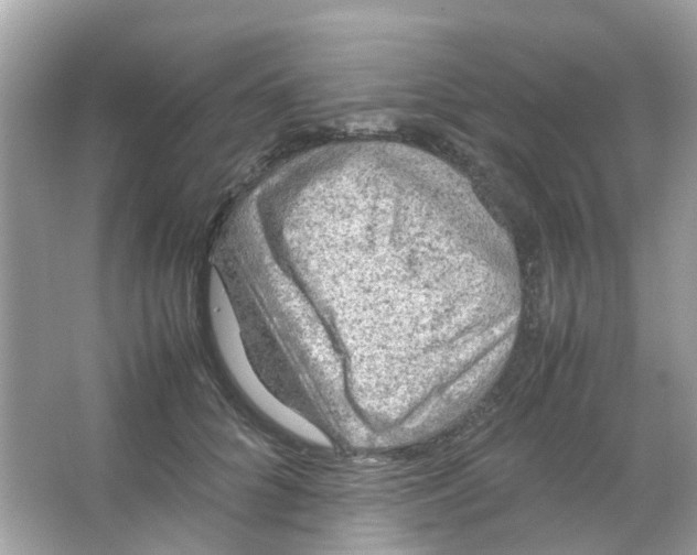 X0000065980704200603311905