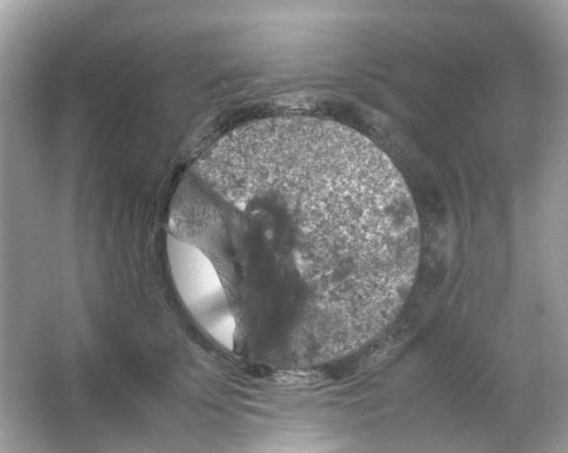 X0000065980707200603311905